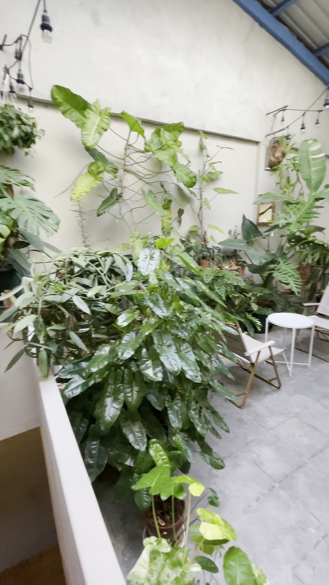 Hay Un Café 沁馣-2